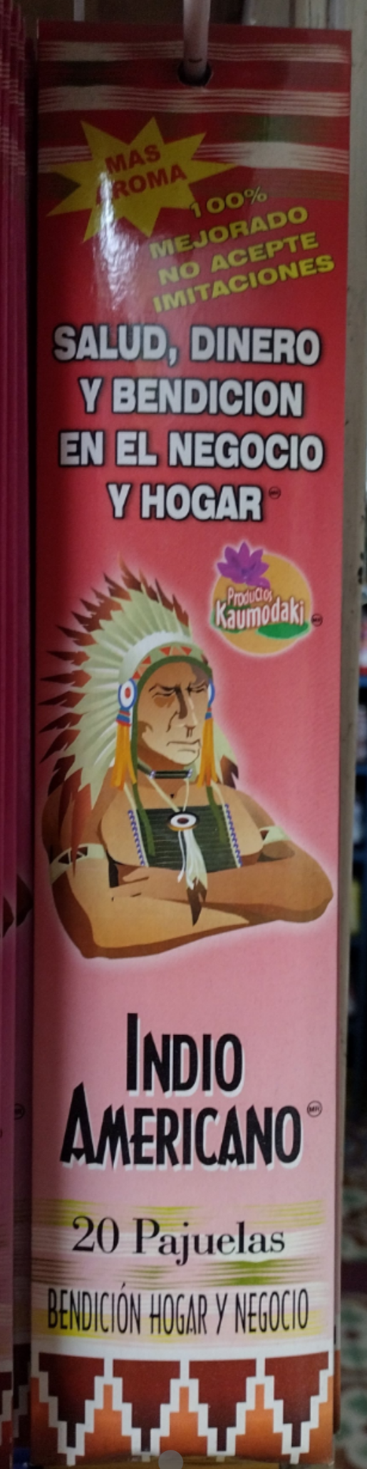 INDIO AMERICANO INCIENSO BENDICION EN EL HOGAR / BLESS YOUR HOME INCENSE - 3 CAJAS DE 20 PAJUELAS C/U - ENVIO GRATIS